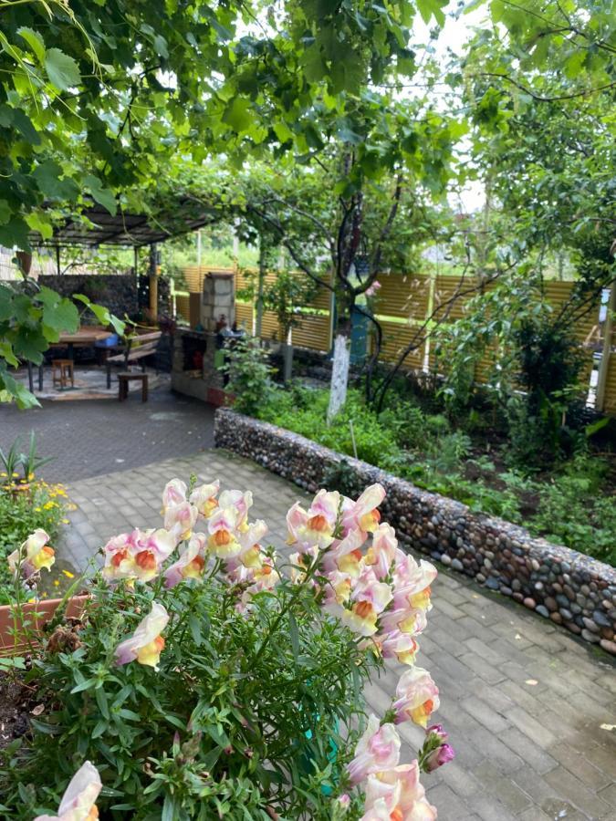 Guest House Mari Ureki Ngoại thất bức ảnh