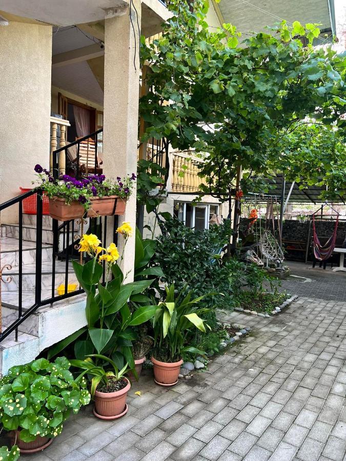 Guest House Mari Ureki Ngoại thất bức ảnh